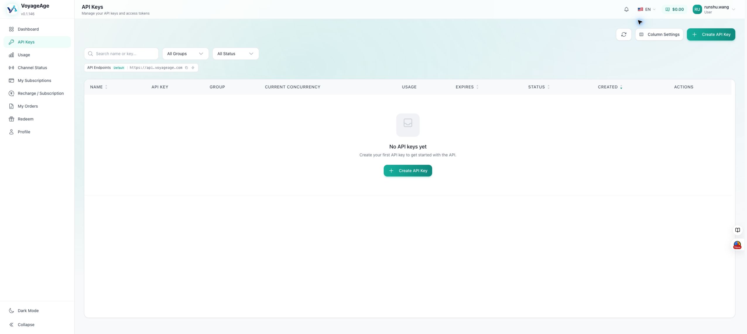 VoyageAge API Keys page